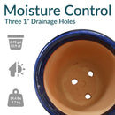 Sunnydaze Studio Glazed Ceramic Planter with Drainage