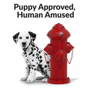 Sunnydaze Fire Hydrant Dog Pee Post Metal Garden Statue