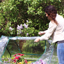 Sunnydaze Mini Greenhouse with 2 Side Doors - Clear