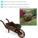 Infographic highlighting the features and or benefits of the product.