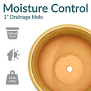 Sunnydaze Studio Glazed Ceramic Planter with Drainage Holes - Set of 2