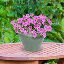 Sunnydaze Round Glazed Ceramic Planter with Drainage