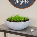 Sunnydaze Percival Polyresin Outdoor Planter Bowl - 20.75"