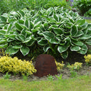 Sunnydaze Flat-Top Artificial Landscape Rock Cover with Stakes