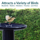 Sunnydaze Glazed Ceramic Outdoor Bird Bath