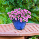 Sunnydaze Round Glazed Ceramic Planter with Drainage