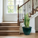 Sunnydaze Round Glazed Ceramic Planter with Drainage