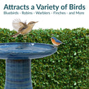 Sunnydaze Glazed Ceramic Outdoor Bird Bath