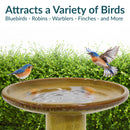Sunnydaze Glazed Ceramic Outdoor Bird Bath