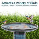 Sunnydaze Glazed Ceramic Outdoor Bird Bath