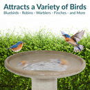 Sunnydaze Glazed Ceramic Outdoor Bird Bath