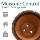 Sunnydaze Studio Glazed Ceramic Planter with Drainage
