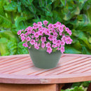 Sunnydaze Round Glazed Ceramic Planter with Drainage
