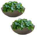 Sunnydaze Percival Polyresin Outdoor Planter Bowl - 20.75"