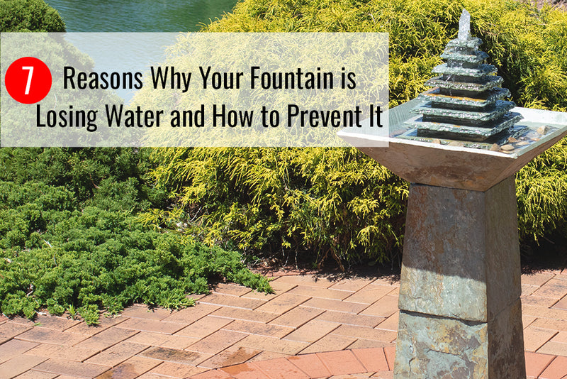 7 Reasons Why Your Fountain is Losing Water and How to Prevent It