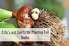 8 Do’s and Don’ts for Planting Fall Bulbs