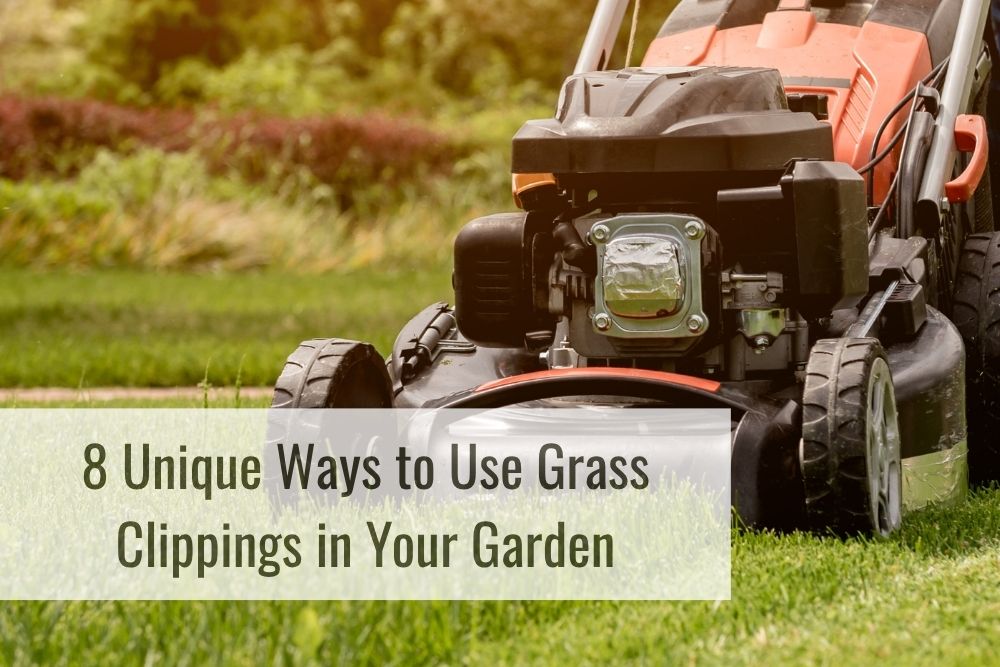 what to do with grass c lippings you do clippings once you've finished mowing? Here are 8 useful ways use them that will save you time, effort and money What to do with grass