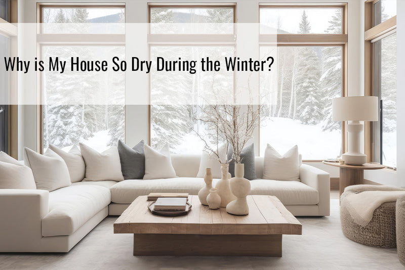 Why is My House So Dry During the Winter?