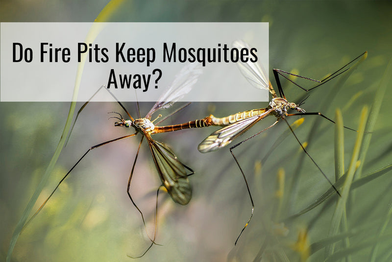 Do Fire Pits Keep Mosquitoes Away?