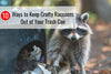 10 Ways to Keep Crafty Raccoons Out of Your Trash Can
