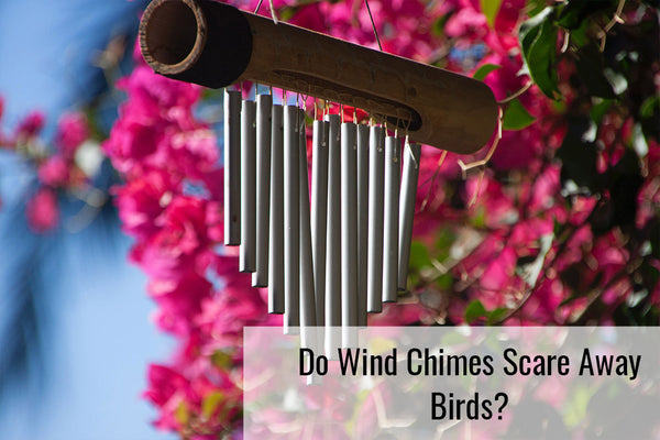Do Wind Chimes Scare Away Birds?