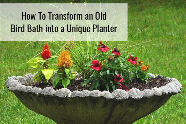 How to Transform an Old Bird Bath or Fountain into a Unique Planter