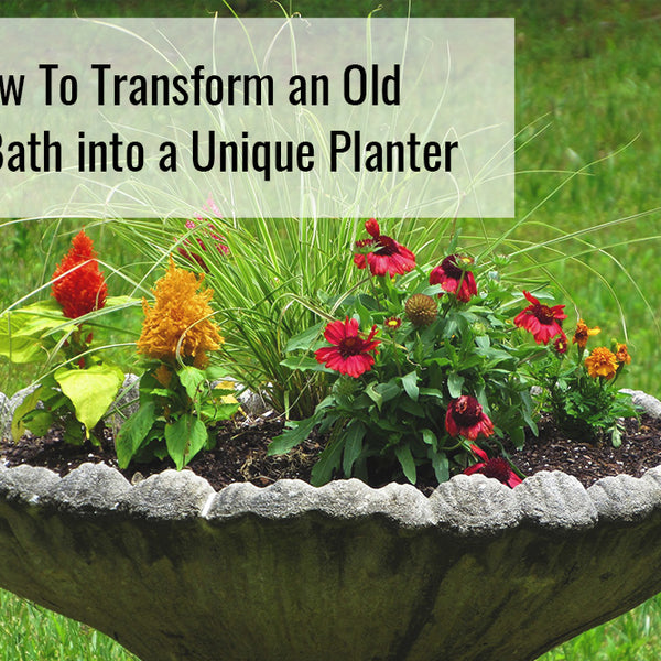 How to Transform an Old Bird Bath or Fountain into a Unique Planter –  Sunnydaze Decor