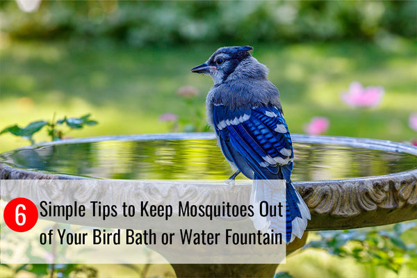 6 Tips to Rid Your Bird Bath or Water Fountain of Mosquitoes – Sunnydaze  Decor