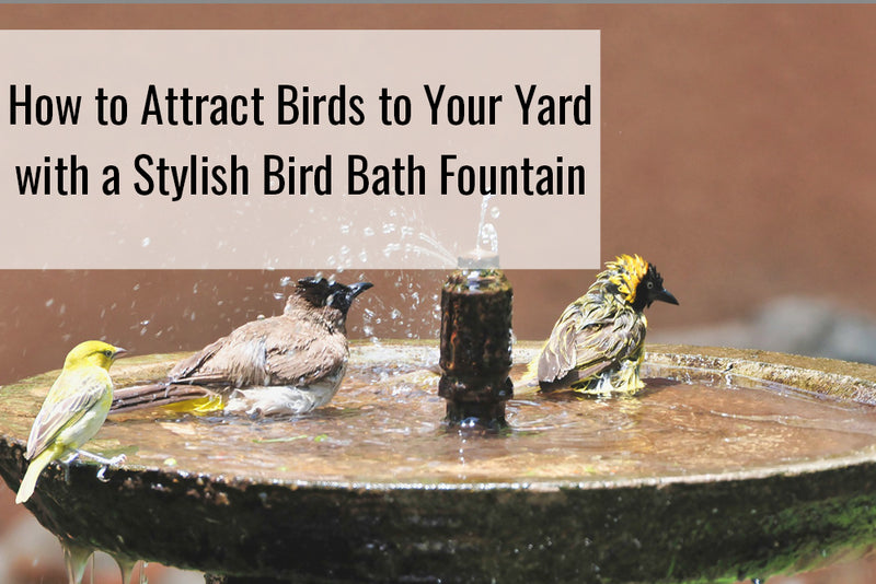 How to Attract Birds to Your Yard with a Stylish Bird Bath Fountain