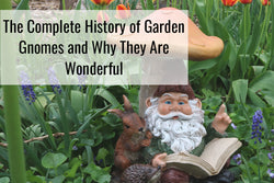 The Complete History of Garden Gnomes & Why They Are Wonderful