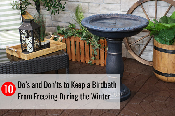 10 Do’s and Don’ts to Keep a Birdbath From Freezing During the Winter