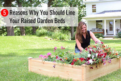 5 Reasons Why You Should Line Your Raised Garden Beds