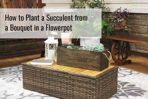 How to Plant a Succulent from a Bouquet in a Flowerpot