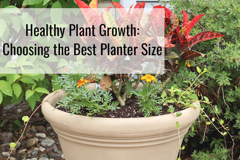 The Best Planter Sizes to Choose for Healthy Plant Growth