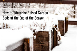 How to Winterize Raised Garden Beds at the End of the Season