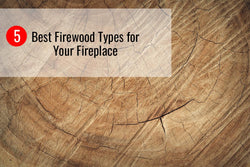 5 Best Firewood Types to Burn for Your Fireplace