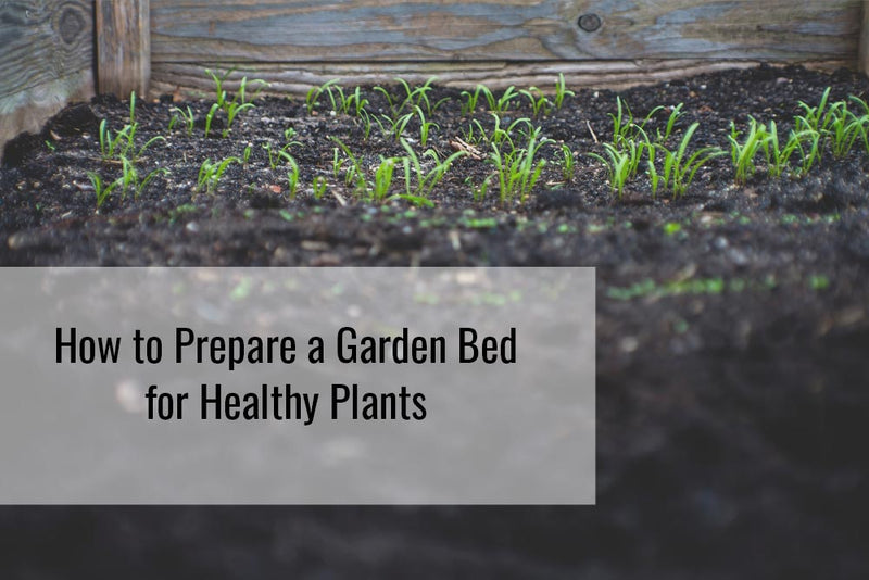 Learn more about how to prepare a garden bed for healthy plants