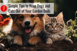 7 Simple Tips to Keep Dogs and Cats Out of Your Garden Beds