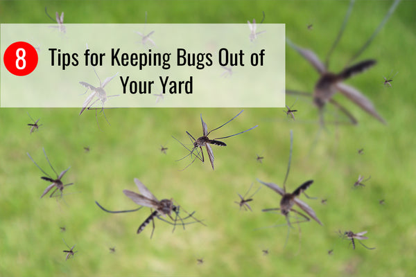 8 Tips for Keeping Bugs Out of Your Yard