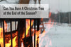 Can You Burn A Christmas Tree at the End of the Season?