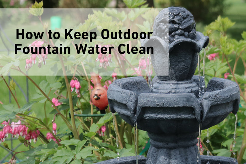 Learn how to keep outdoor fountain water clean.