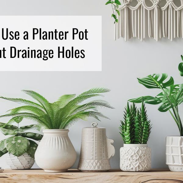 How to Use a Planter Pot Without Drainage Holes  Sunnydaze Decor