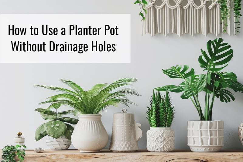 How to Use a Planter Pot Without Drainage Holes – Sunnydaze Decor