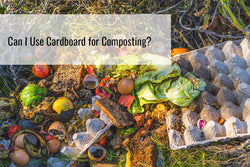 Can I Use Cardboard for Composting?