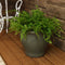 Sunnydaze Studio Glazed Ceramic Planter with Drainage Holes