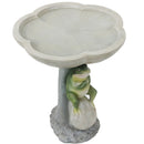 Sunnydaze Polyresin Brooding Frog on Stone Outdoor Garden Bird Bath