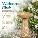 Infographic showing a tan and cream pedestal bird bath in a garden, with a bird perched on the rim and text highlighting its decorative style, versatility, and ability to attract birds.