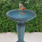 Sunnydaze Grecian Garden Reinforced Concrete Bird Bath - 20.25" H