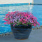 Sunnydaze Studio Glazed Ceramic Planter with Drainage Holes