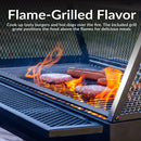 Sunnydaze Outdoor Fire Pit with Grill and Spark Screen -36" H